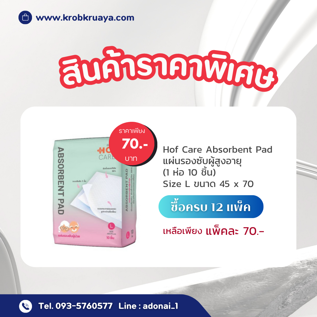 ราคาพิเศษ HOFCARE แผ่นรองซับ