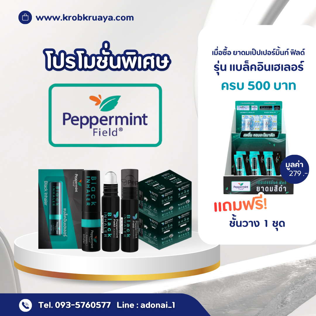 ยาดมเป๊ปเปอร์มิ้นท์ ฟิลด์ รุ่น แบล็คอินเฮเลอร์