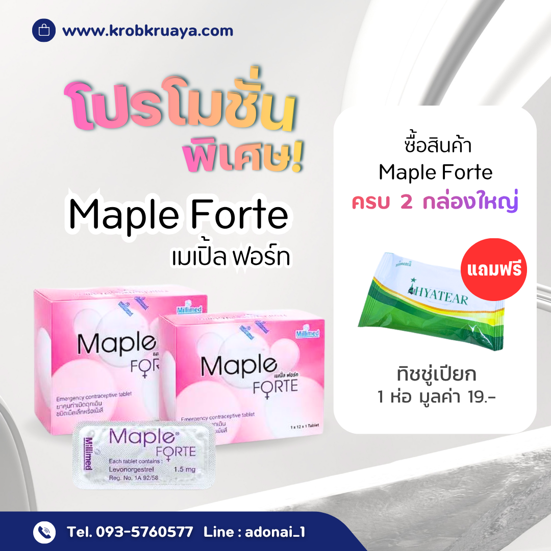 Maple Forte
