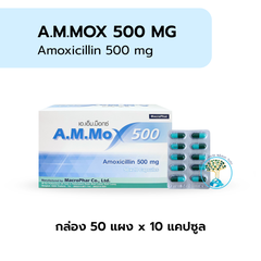 A.M.Mox 500mg ฟ้าเขียว 50x10's*โปรมิถุนา